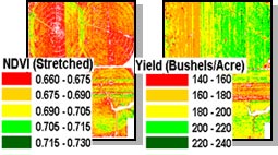 Field yield and veg index