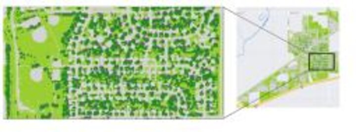 Urban Tree Canopy Mapping